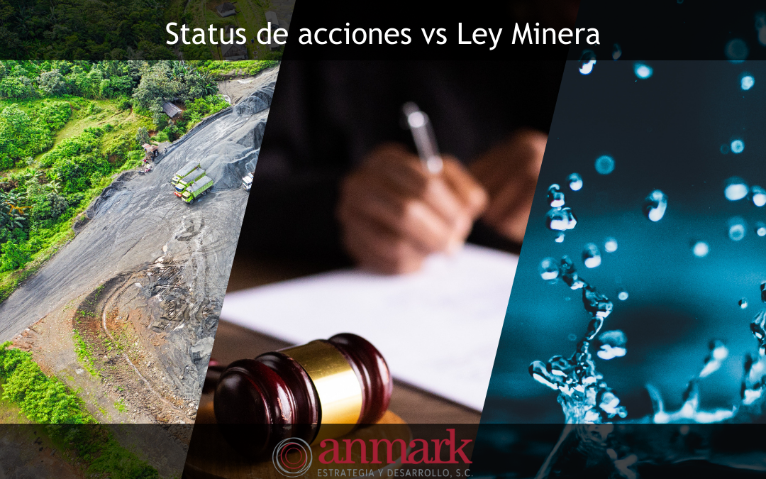 NI Status de acciones vs Ley Minera